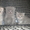 Продам шотландских вислоухих котят - Изображение #1, Объявление #311073