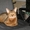 Абиссинские котята из питомника Мирабелла Кэт #340631
