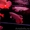  Красивый аквариум чили красный arowana на продажу - Изображение #1, Объявление #495047