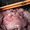 ООО " Атлант" мясо блочное говядина - Изображение #2, Объявление #350617