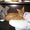 Рыжий кот девон рекс - Изображение #2, Объявление #660145
