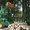 Фронтальный погрузчик для лесного хозяйства/навесной погрузчик - Изображение #2, Объявление #991993