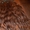 Продажа натуральных волос отличного качества - Изображение #4, Объявление #1204048