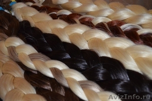 Продажа натуральных волос - Изображение #7, Объявление #895146