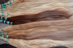 Продажа натуральных волос отличного качества - Изображение #3, Объявление #1204048